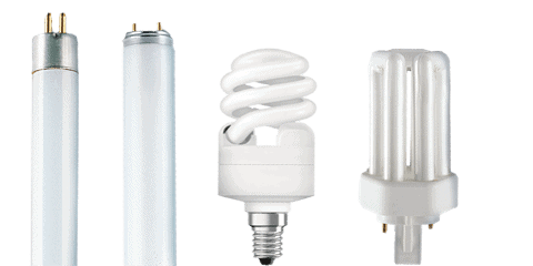 types of light bulbs